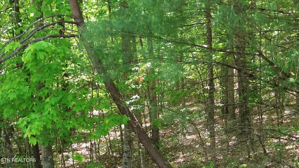 $415,000 | Peter Ford Road, Sunbright, TN 37872