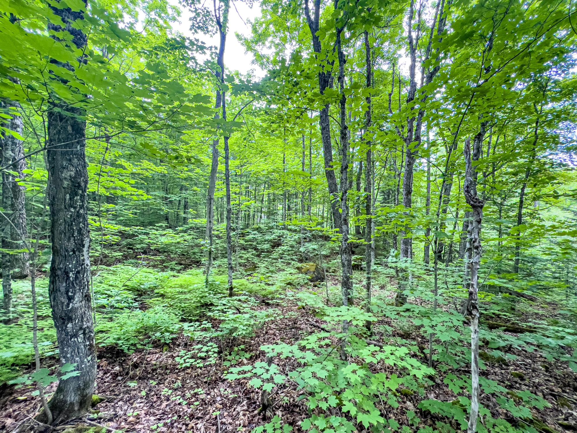 4 Rd Ontonagon Mi 49953 Road Wakefield, MI 49968 - Photo 14 of 15 Gallery Image 14