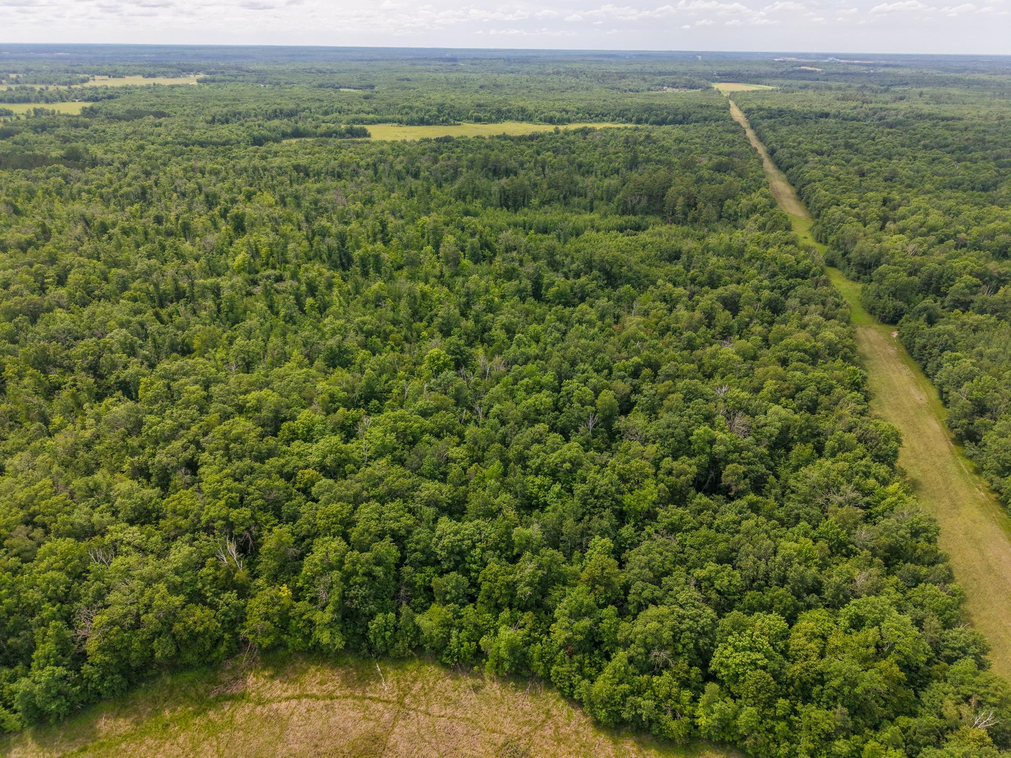 80-acres Pike Bay Loop Road Northwest Cass Lake, MN 56633 - Photo 9 of 27