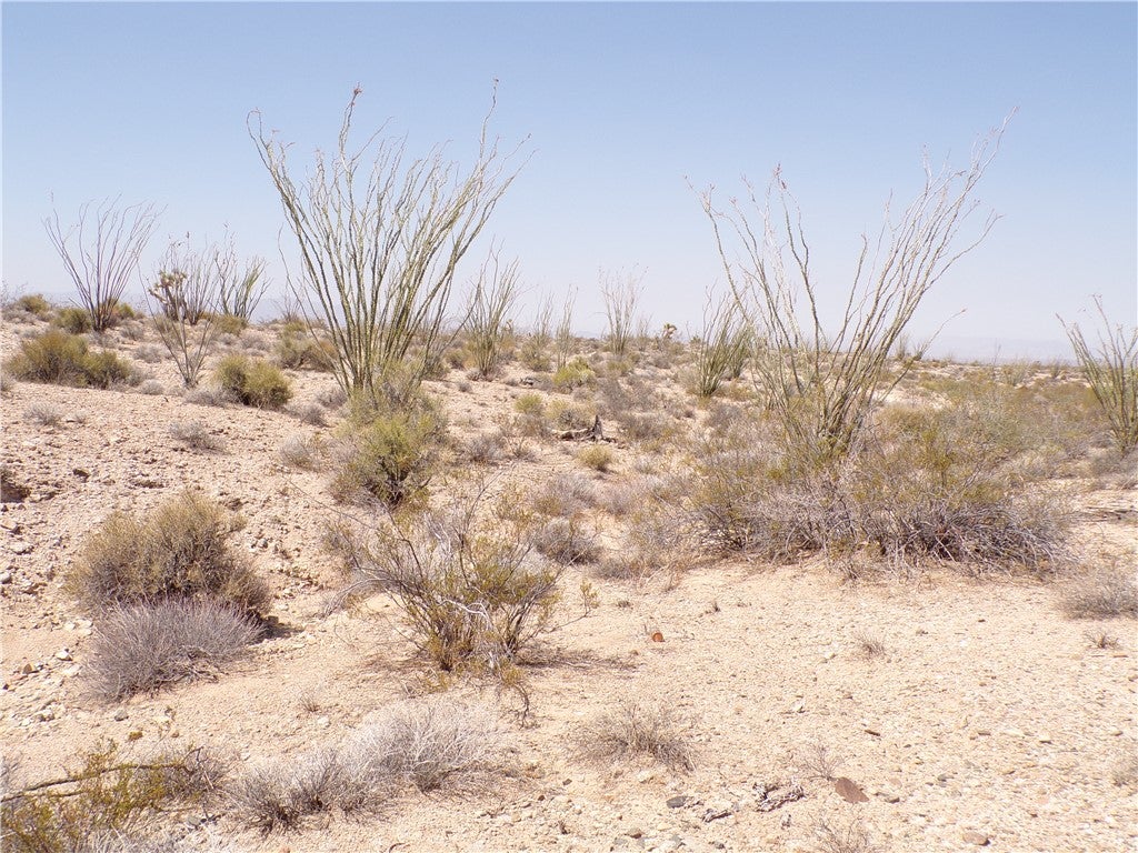 245-18-187 South Sherry Road Yucca, AZ 86438 - Photo 20 of 34 Gallery Image 20