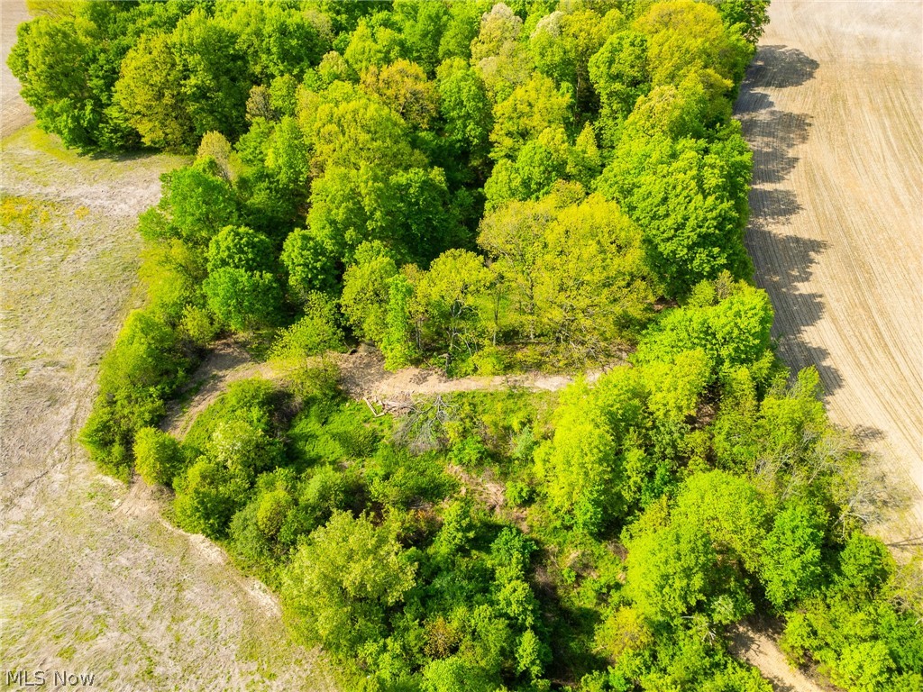 5123 Schoolhouse Road Frazeysburg, OH 43822 - Photo 6 of 26