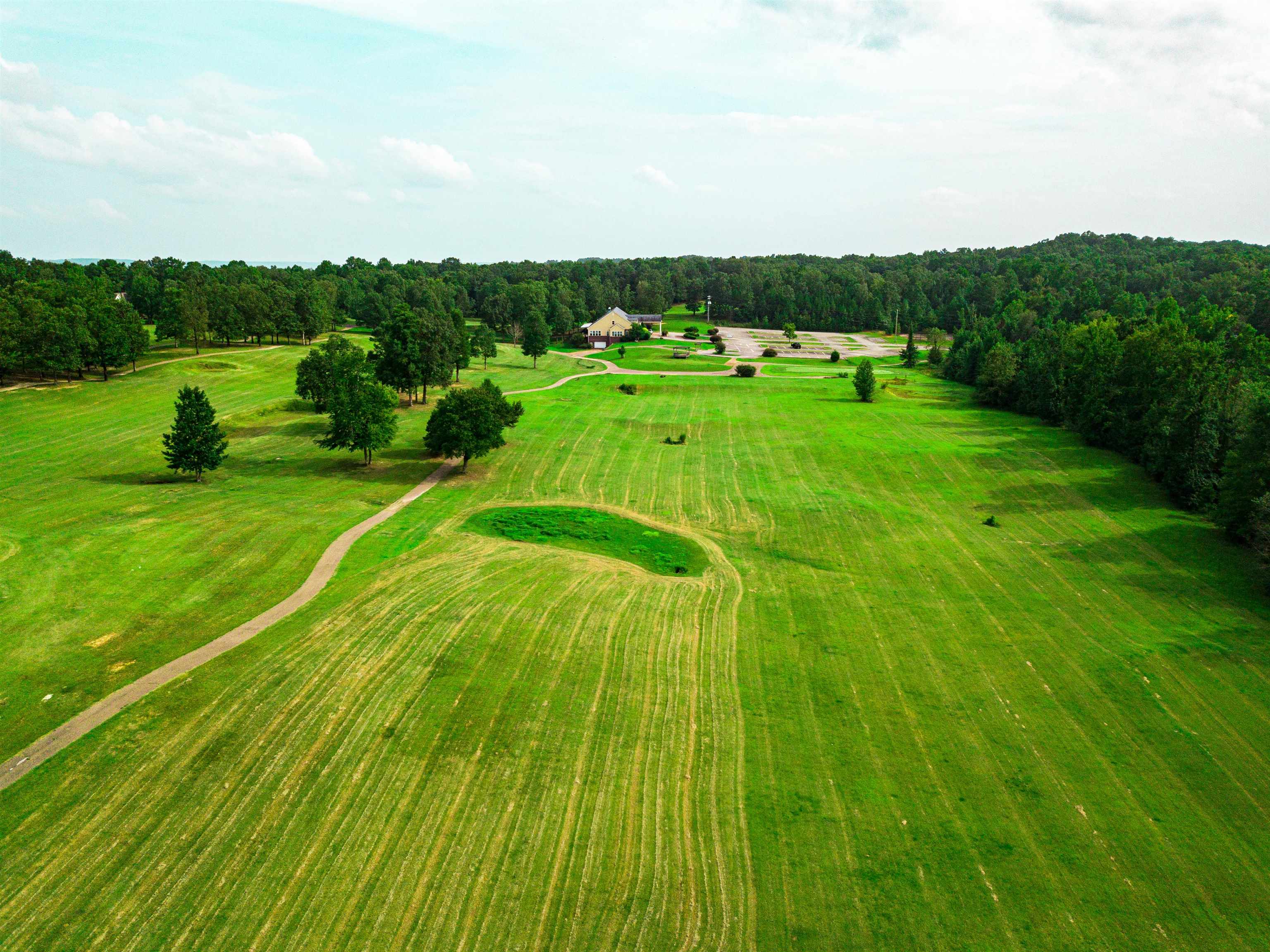 60 Masters Court Counce, TN 38326 - Photo 25 of 30 Aerial view of a golf club and a forest
