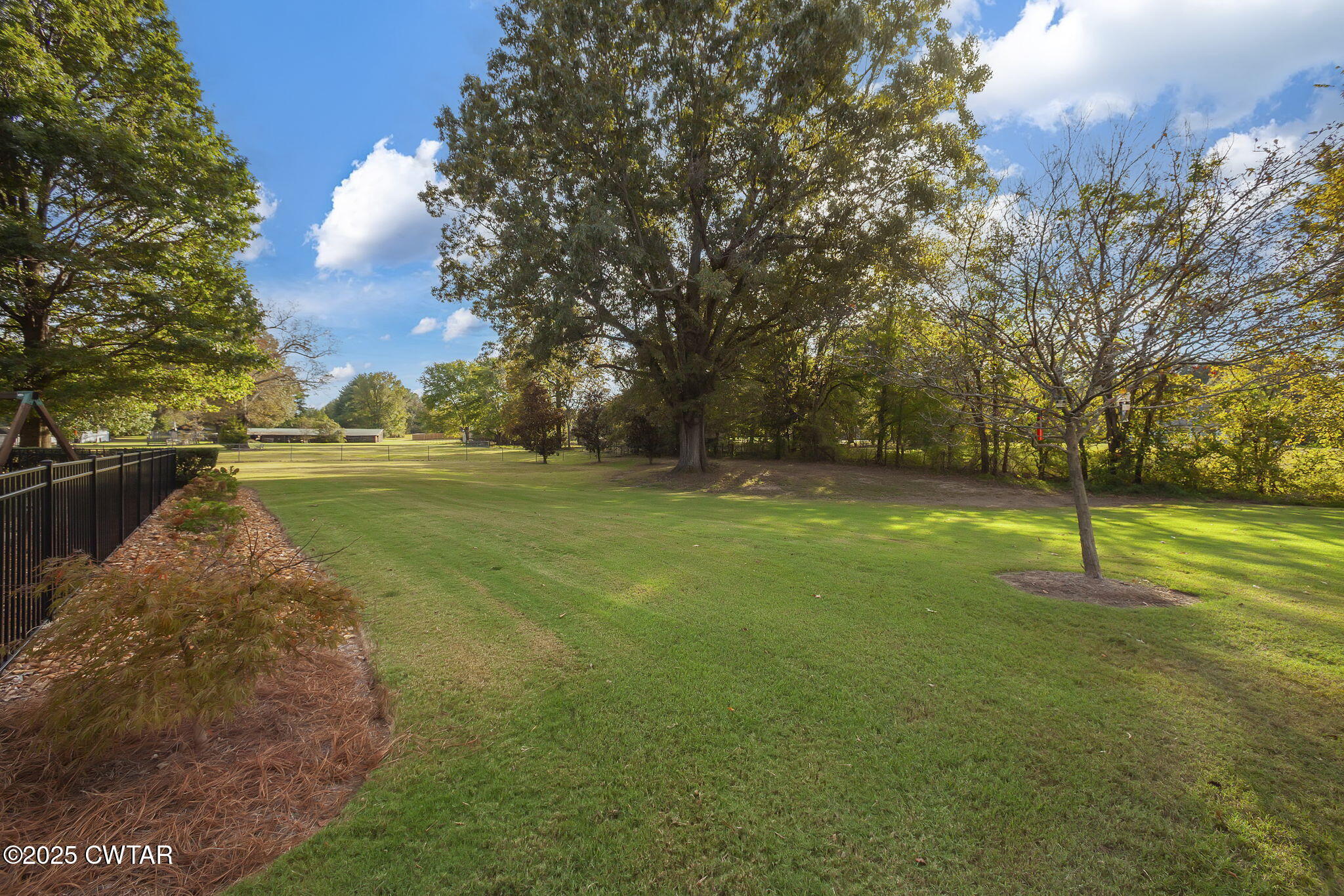 119 Bascom Road Jackson, TN 38305 - Photo 43 of 49 a view of a field with trees in the background