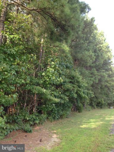 Clarke Way St. Inigoes, MD 20684 - Photo 2 of 4 a view of a yard with a tree