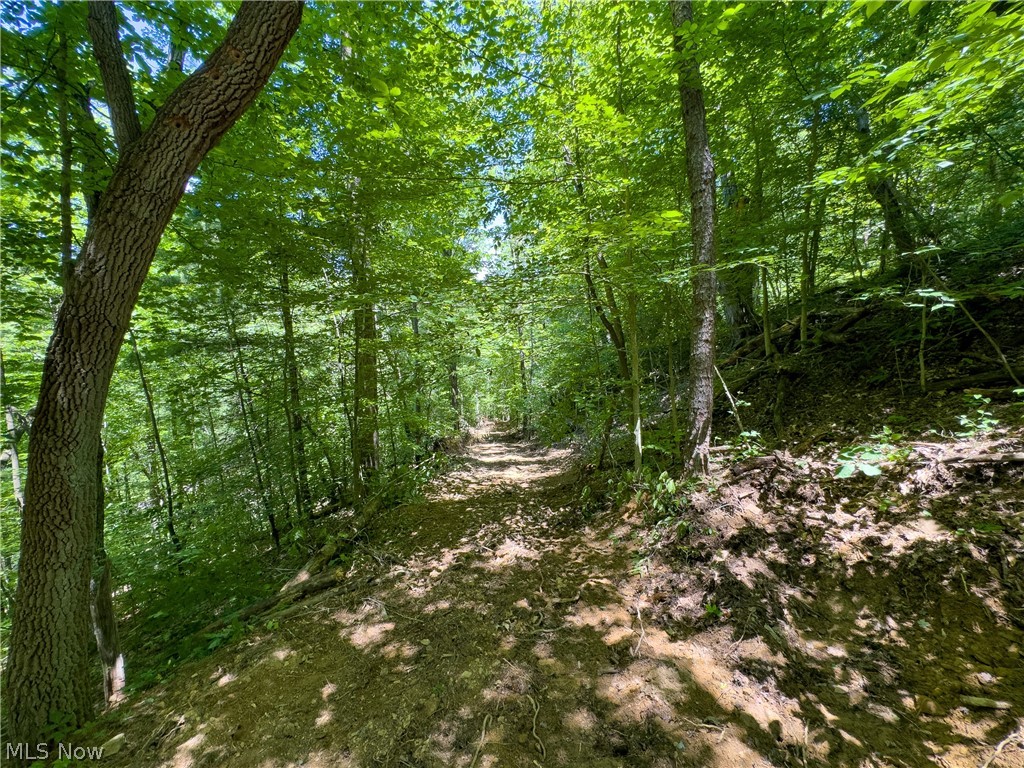 0 Long Hollow Road Pomeroy, OH 45769 - Photo 6 of 31