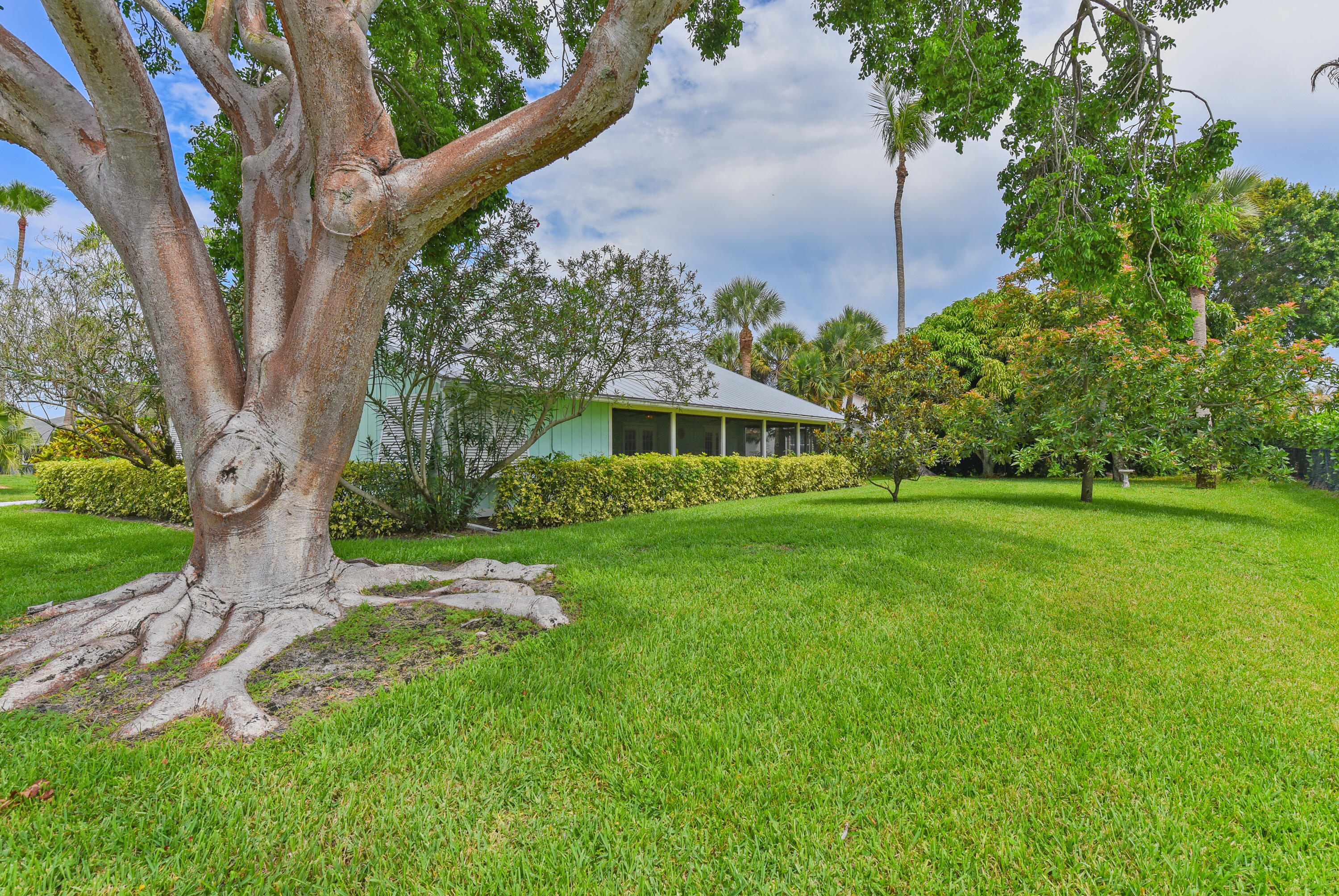 4240 Southeast Happy Lane Stuart, FL 34997 - Photo 29 of 39 Mature Trees