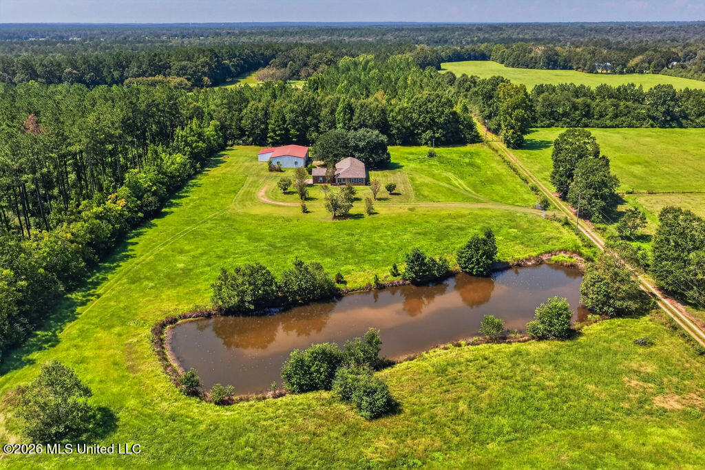 847 City Bridge Road Perkinston, MS 39573 - Photo 61 of 65 847CityBridgeRd-61