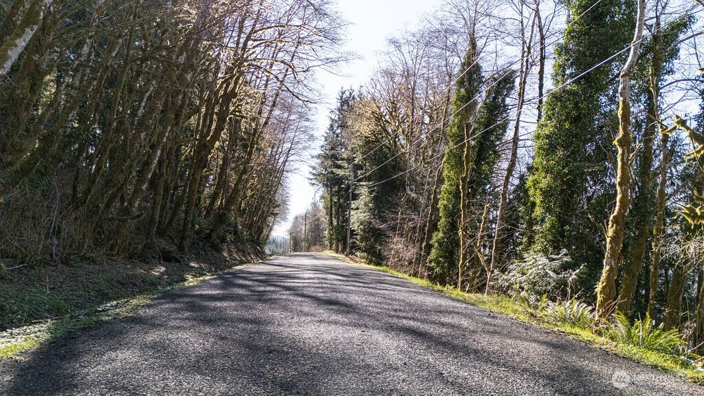 1185 East Lake Pleasant Road Beaver, WA 98305 - Photo 13 of 21