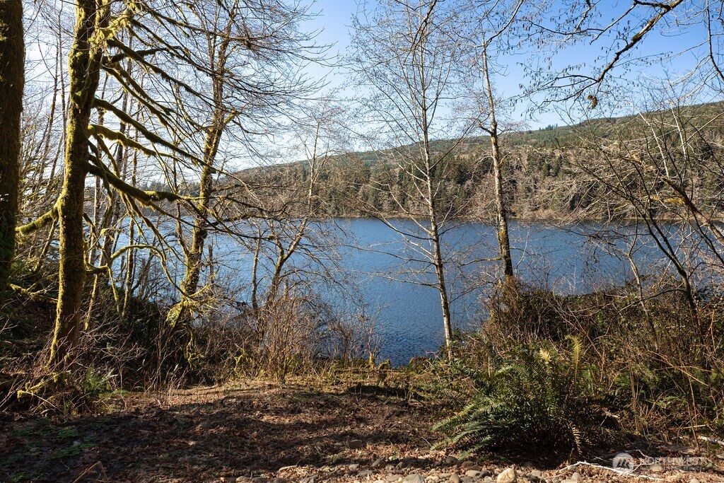 1185 East Lake Pleasant Road Beaver, WA 98305 - Photo 14 of 21