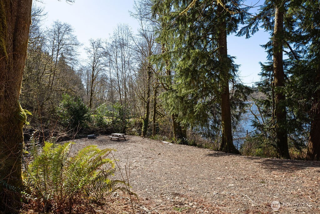 1185 East Lake Pleasant Road Beaver, WA 98305 - Photo 16 of 21