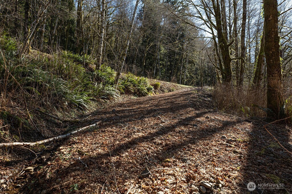 1185 East Lake Pleasant Road Beaver, WA 98305 - Photo 17 of 21