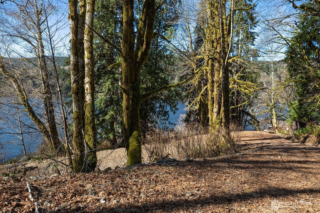 1185 East Lake Pleasant Road Beaver, WA 98305 - Photo 18 of 21