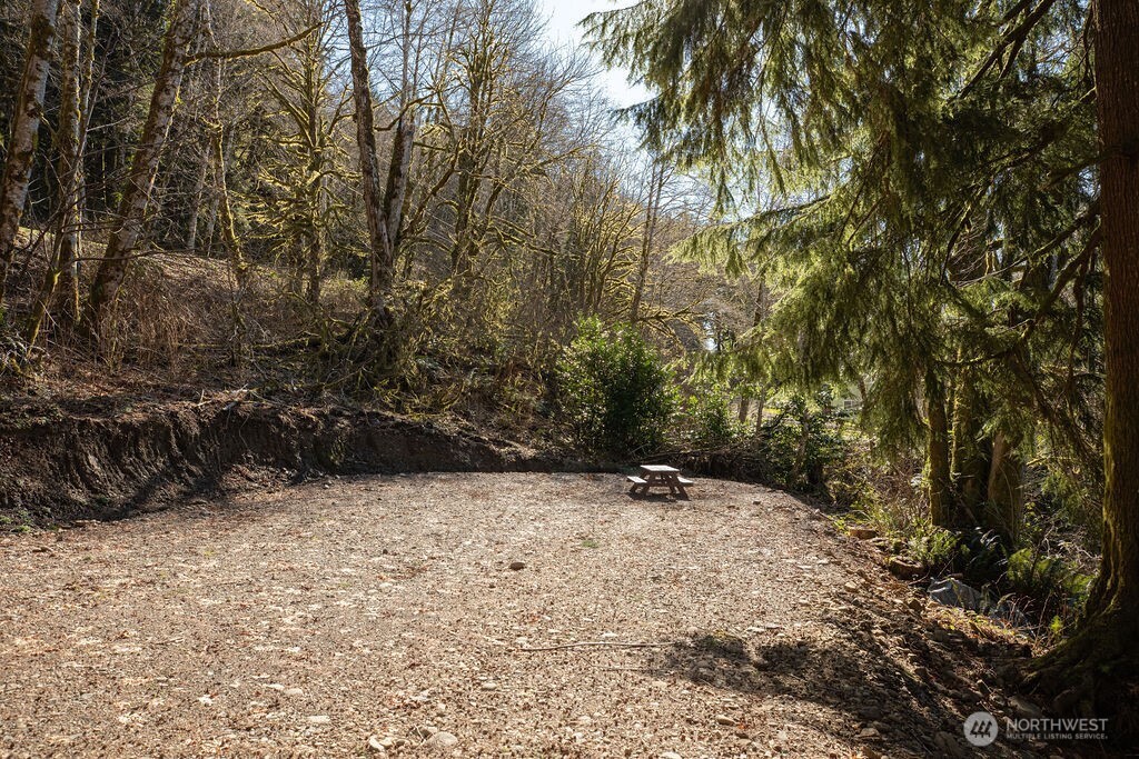 1185 East Lake Pleasant Road Beaver, WA 98305 - Photo 19 of 21