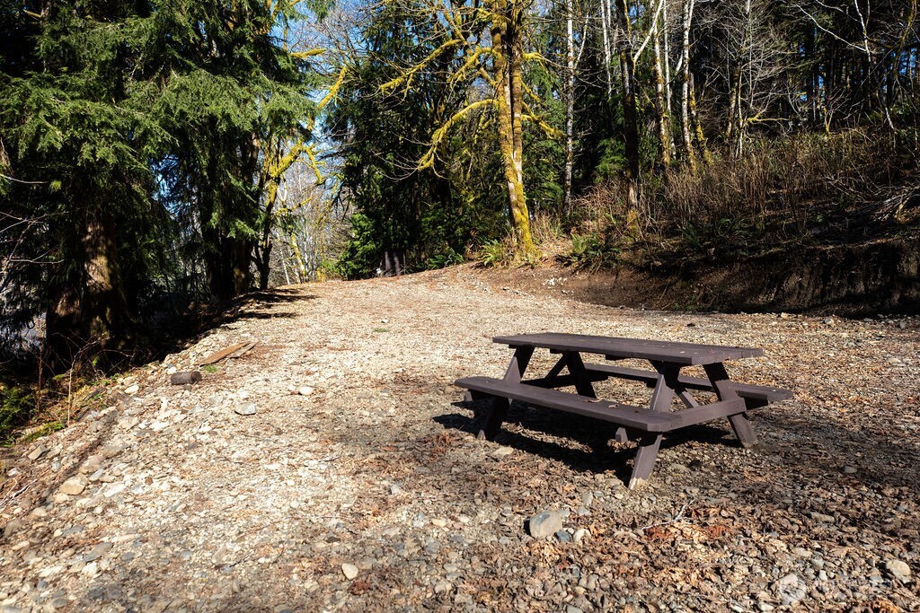 1185 East Lake Pleasant Road Beaver, WA 98305 - Photo 20 of 21