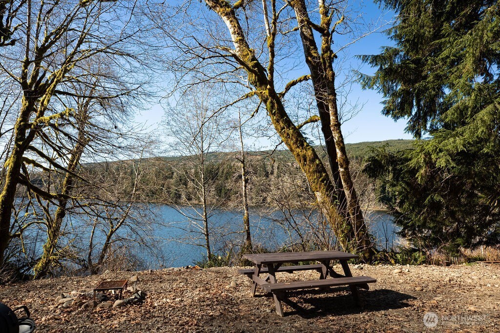 1185 East Lake Pleasant Road Beaver, WA 98305 - Photo 2 of 21