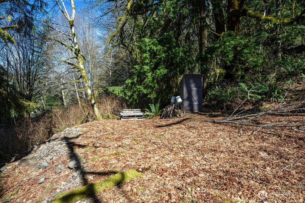 1185 East Lake Pleasant Road Beaver, WA 98305 - Photo 4 of 21