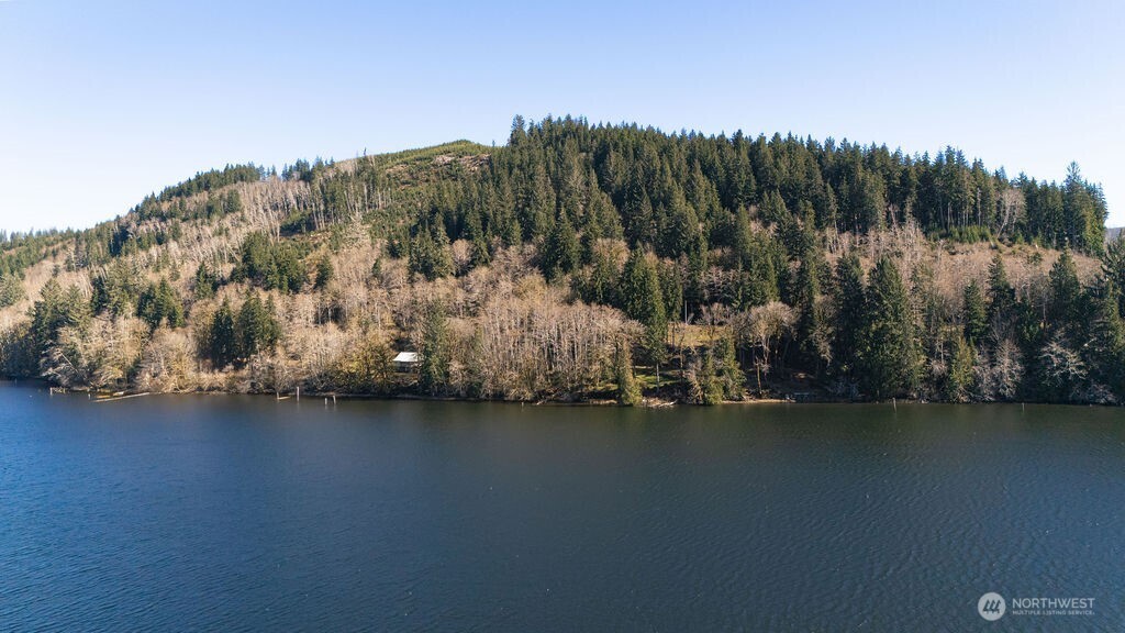 1185 East Lake Pleasant Road Beaver, WA 98305 - Photo 6 of 21