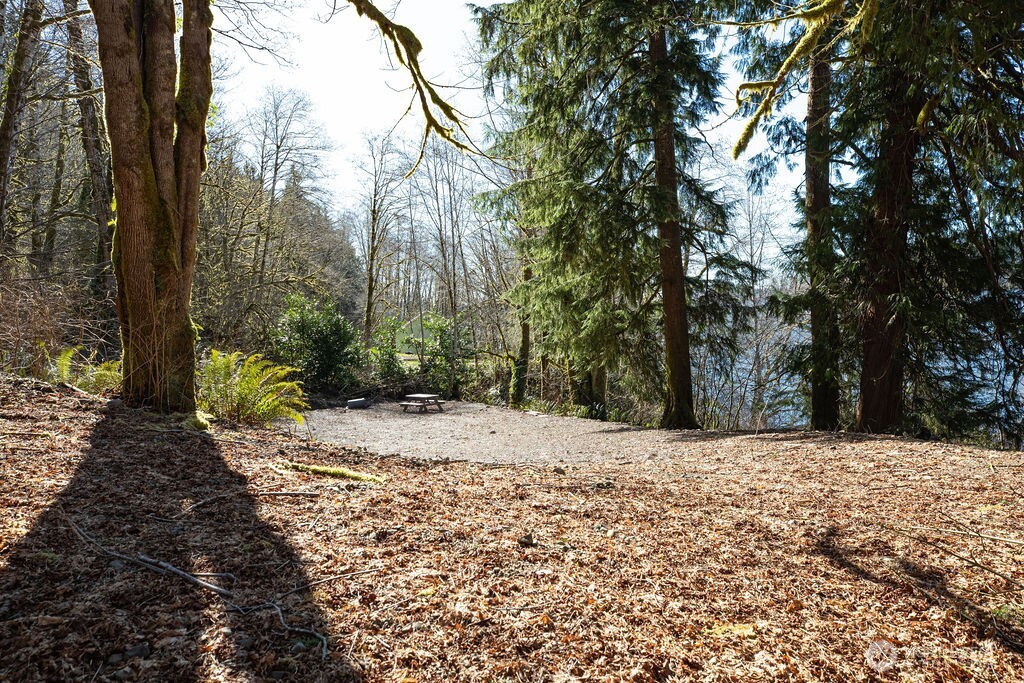 1185 East Lake Pleasant Road Beaver, WA 98305 - Photo 7 of 21