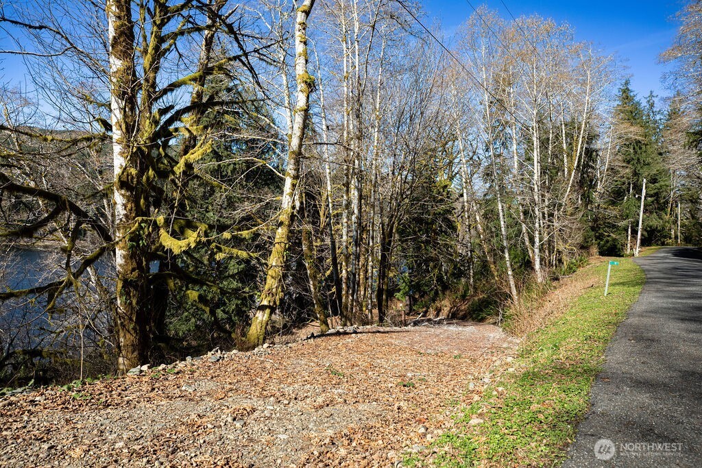 1185 East Lake Pleasant Road Beaver, WA 98305 - Photo 8 of 21