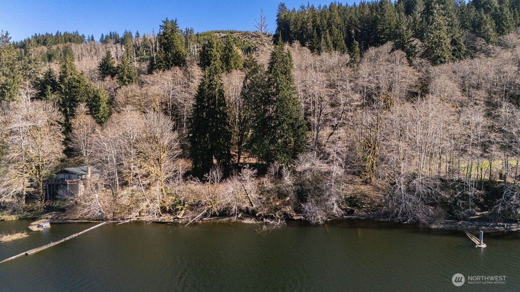 1185 East Lake Pleasant Road Beaver, WA 98305 - Photo 9 of 21