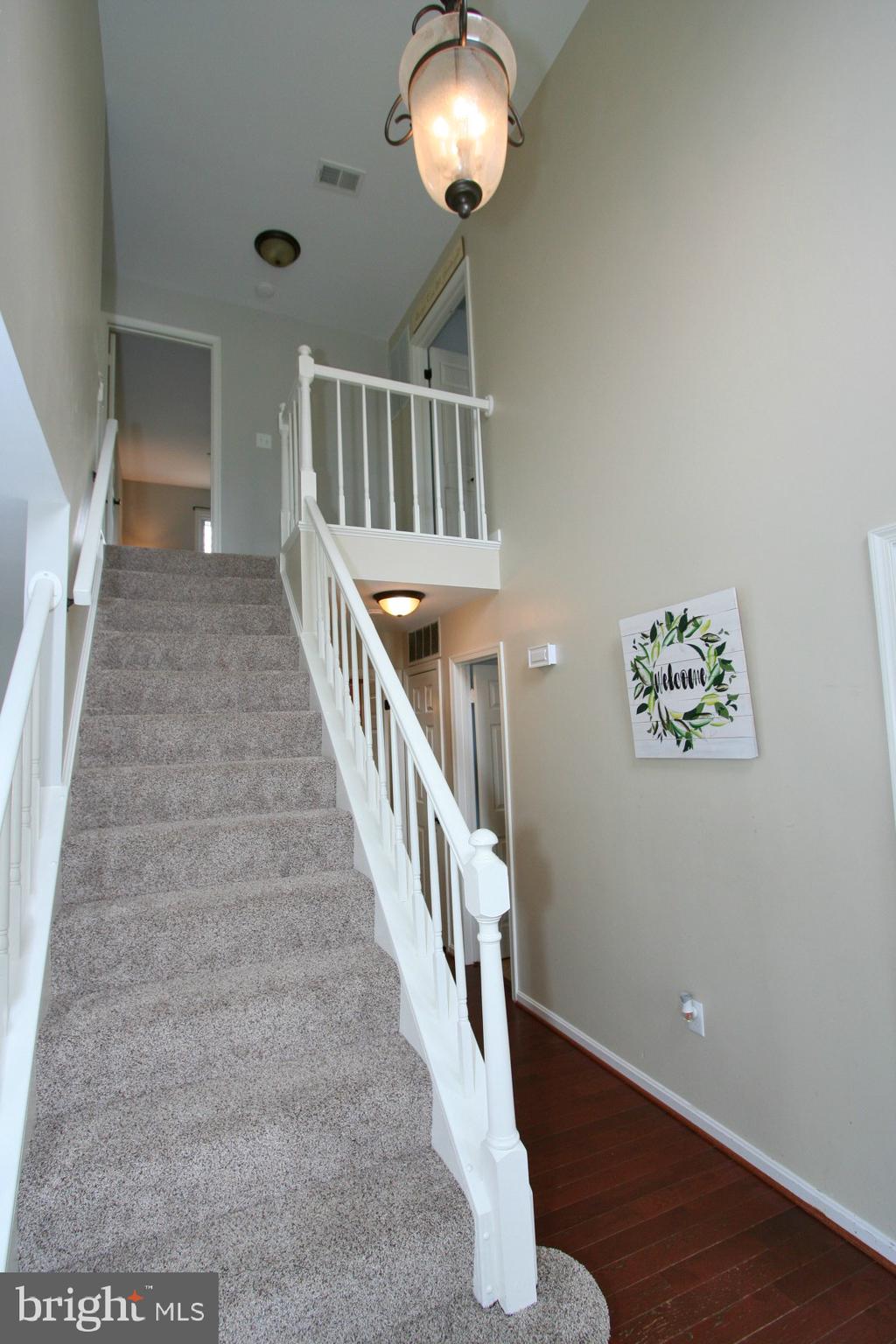 8025 Rocky Run Road Gainesville, VA 20155 - Photo 4 of 40 2 story foyer-new carpet