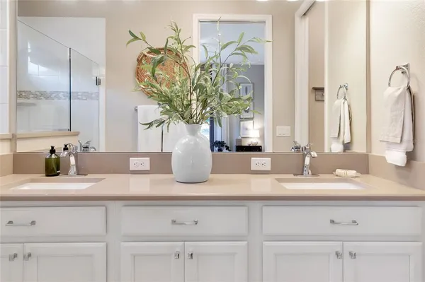 a bathroom with a granite countertop sink a potted plant and a large mirror