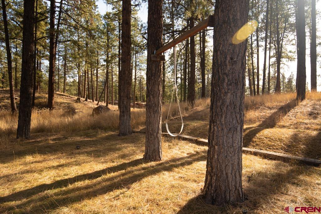 306 Hogan Circle Durango, CO 81301 - Photo 25 of 39 a view of yard