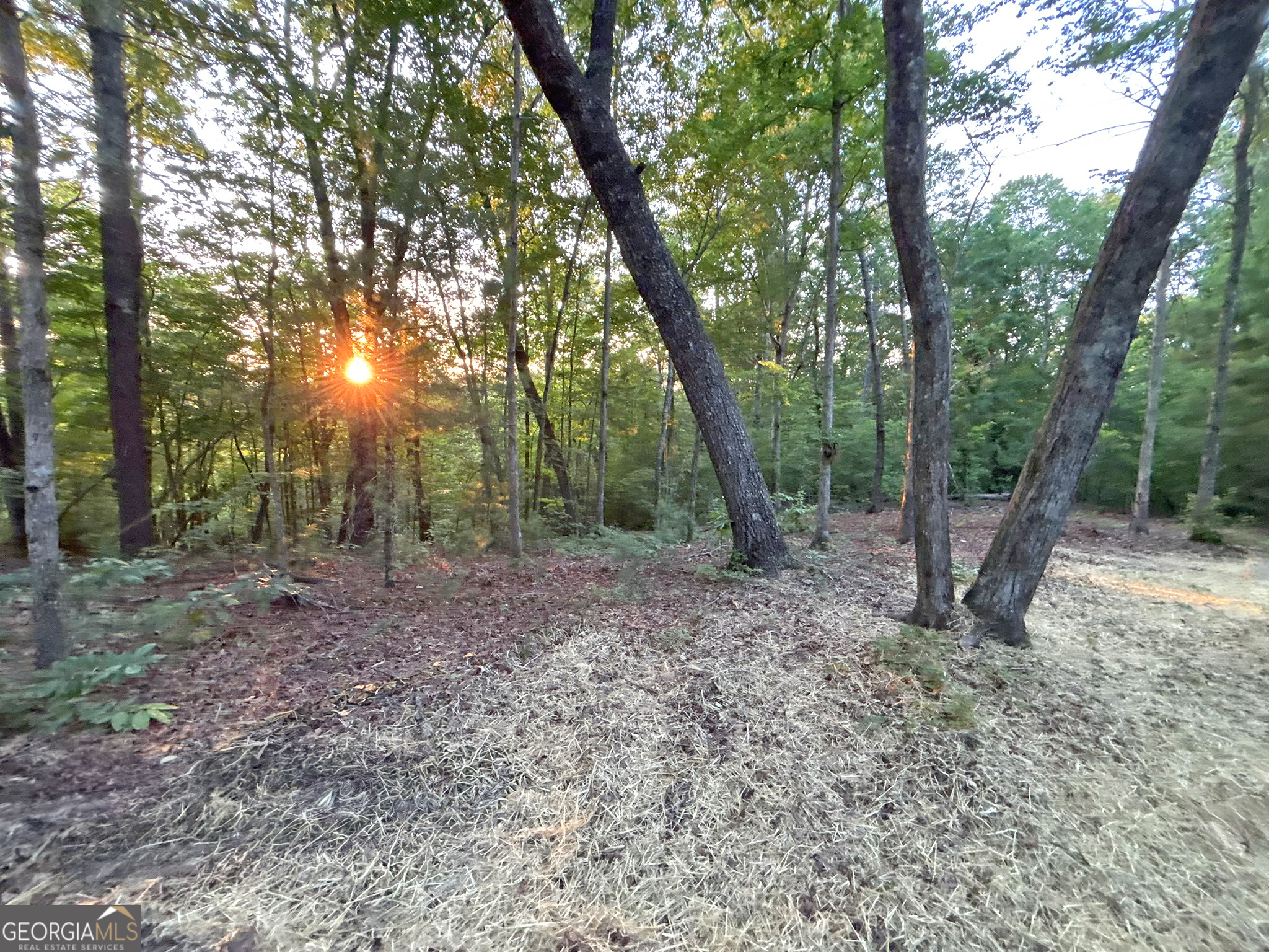 Lot 18 Mt Springer Road Ellijay, GA 30540 - Photo 28 of 31