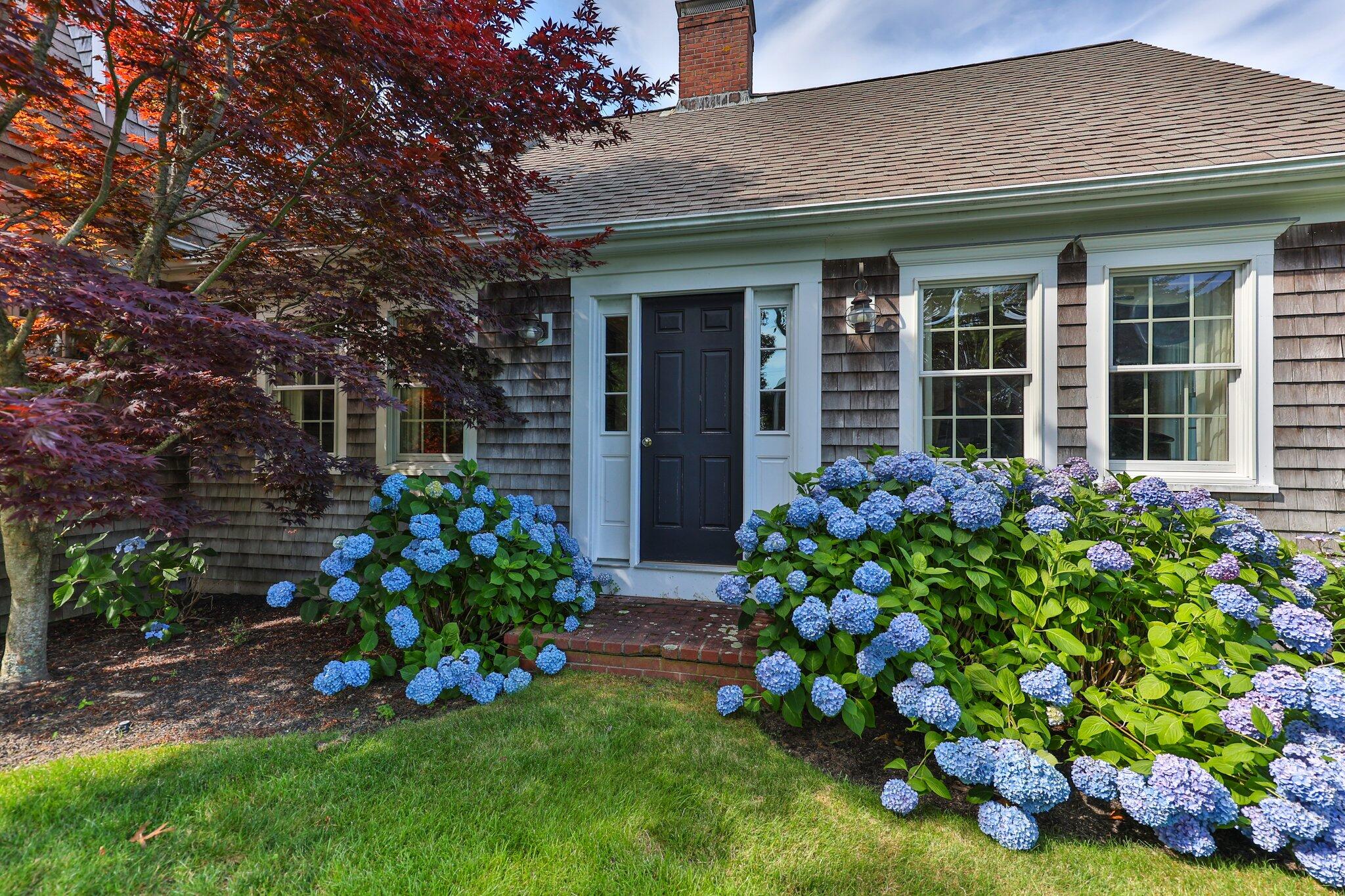 5 Hillcrest Road North Chatham, MA 02650 - Photo 59 of 73 135-web-or-mls-5-hillcrest-ln