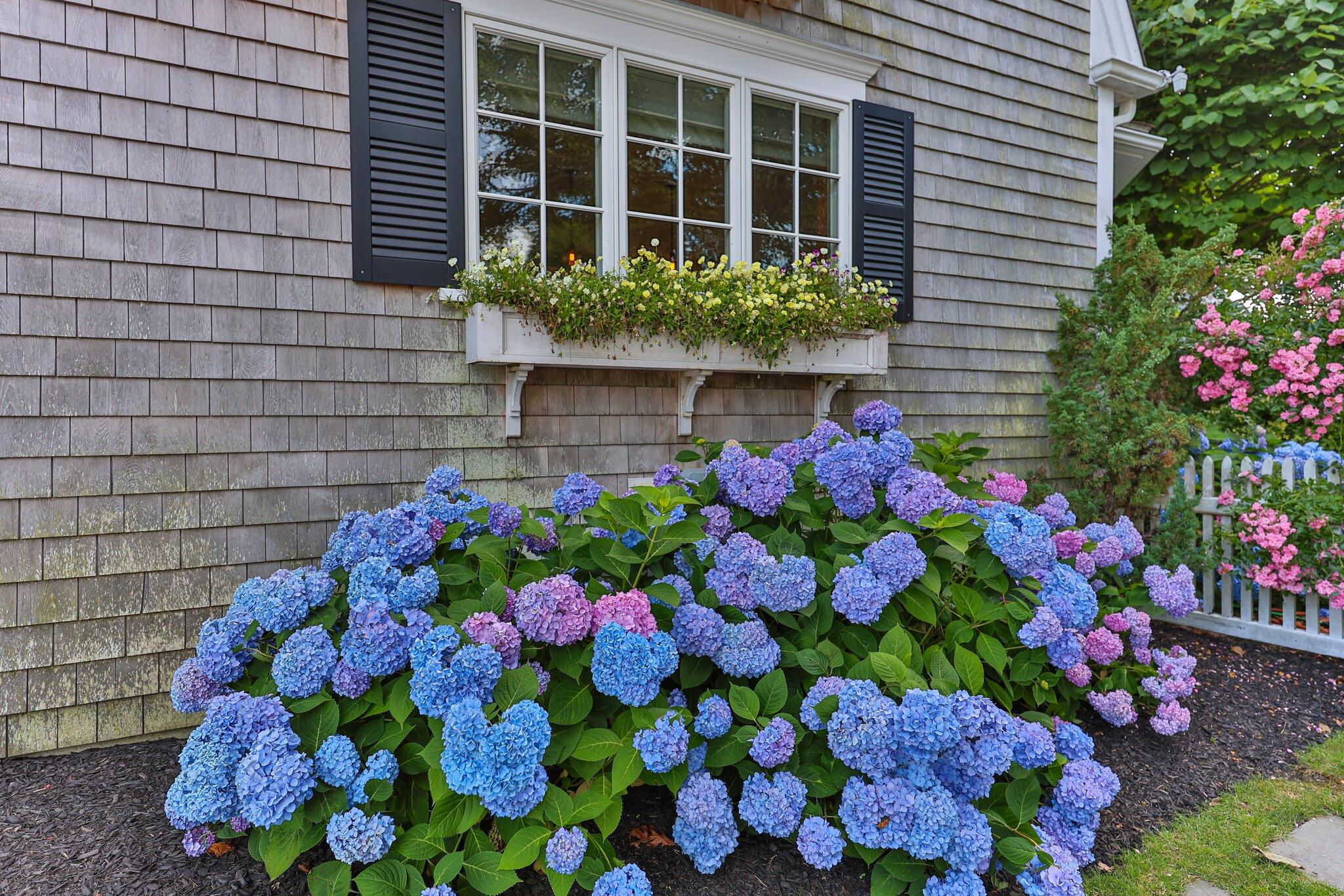5 Hillcrest Road North Chatham, MA 02650 - Photo 62 of 73 127-web-or-mls-5-hillcrest-ln