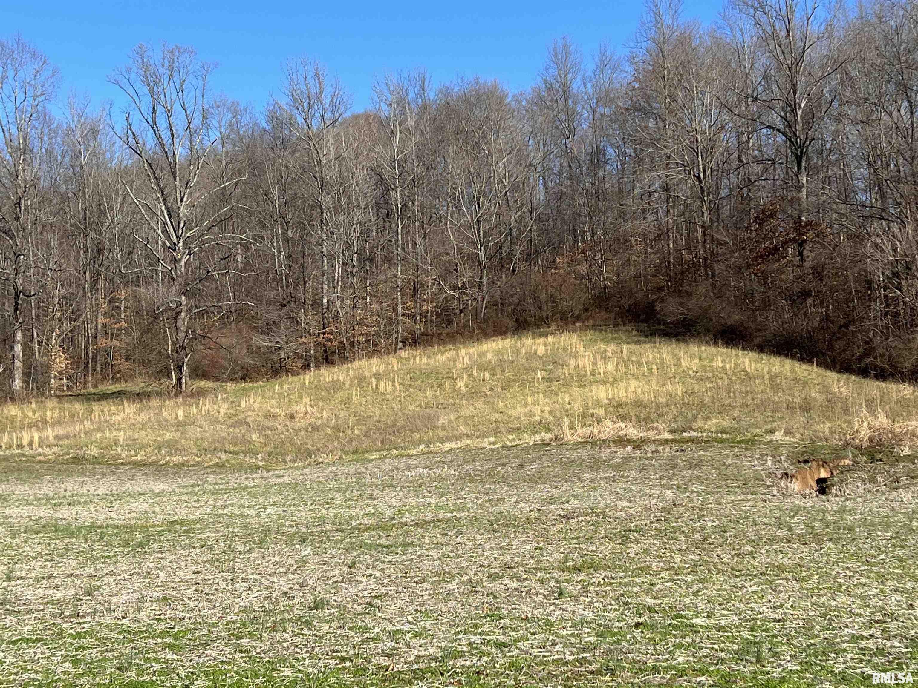 355 Beech Grove Road Wolf Lake, IL 62998 - Photo 24 of 33 Gallery Image 24