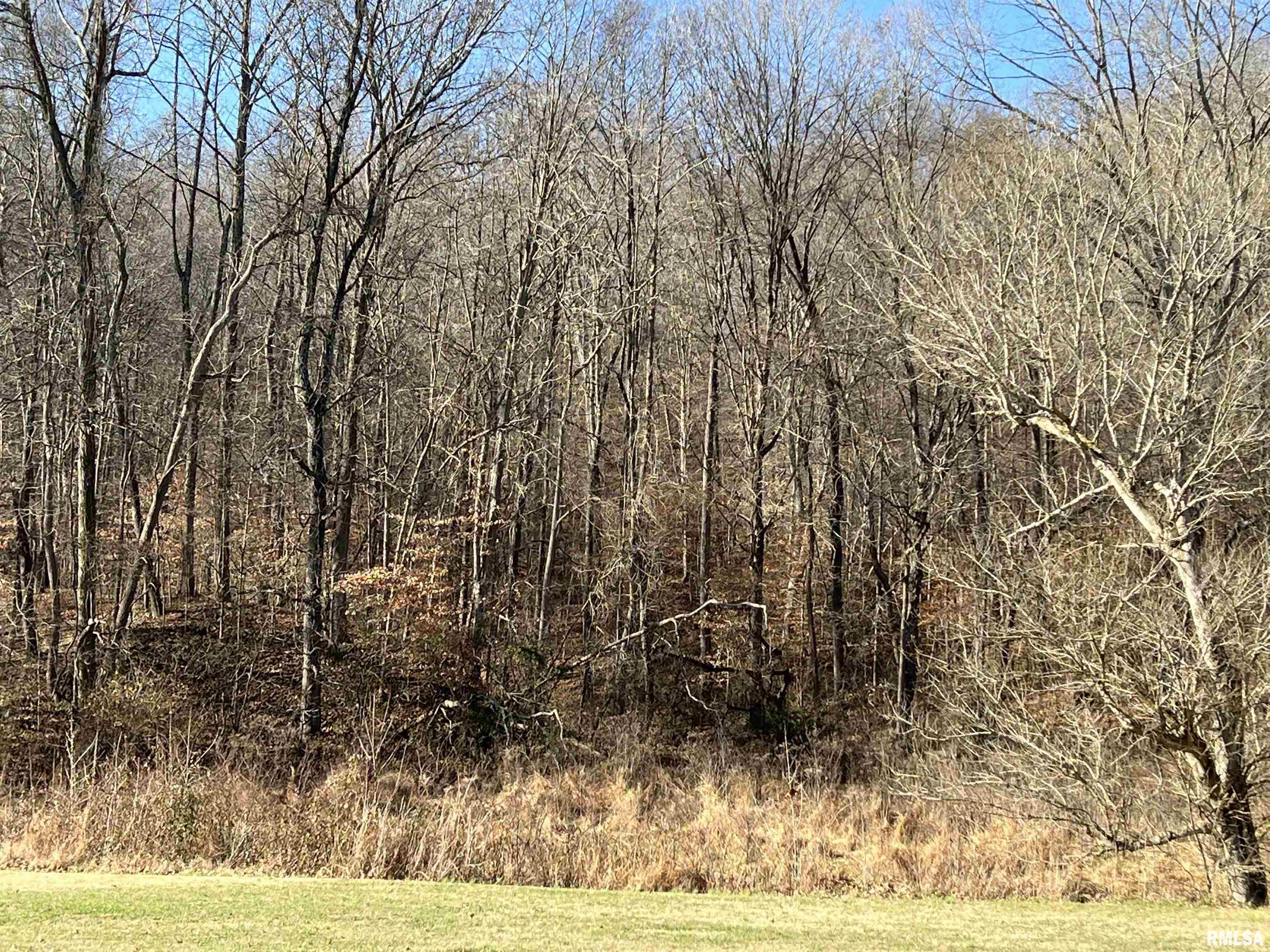 355 Beech Grove Road Wolf Lake, IL 62998 - Photo 25 of 33 Gallery Image 25