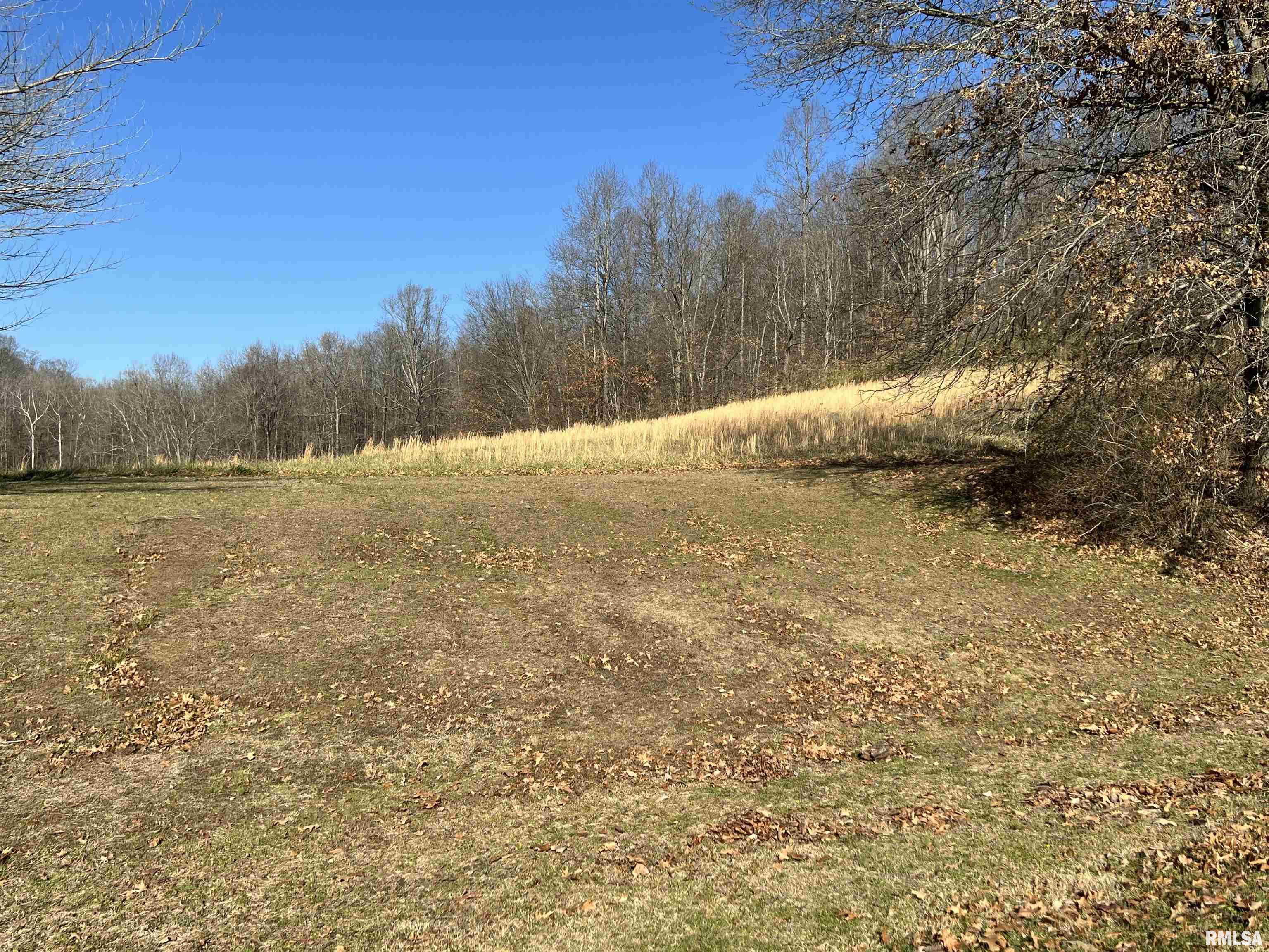 355 Beech Grove Road Wolf Lake, IL 62998 - Photo 28 of 33 Gallery Image 28