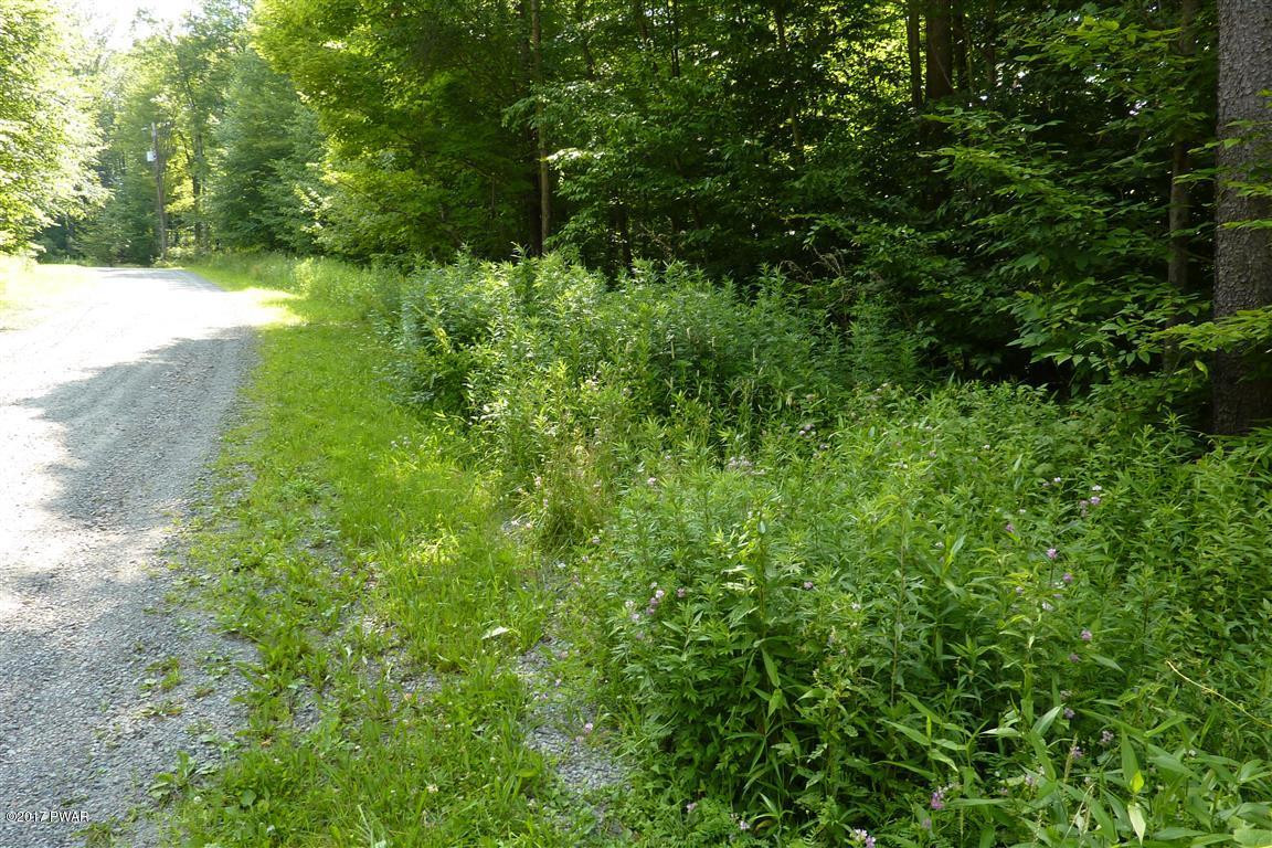 Lot 27 Beech Road Equinunk, PA 18417 - Photo 3 of 5