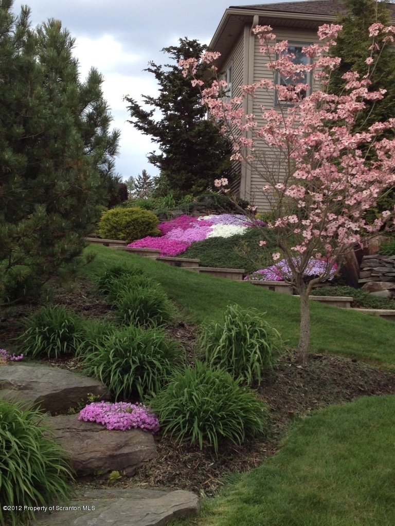 4 Fern Ridge Court Shavertown, PA 18708 - Photo 7 of 57 a view of a backyard
