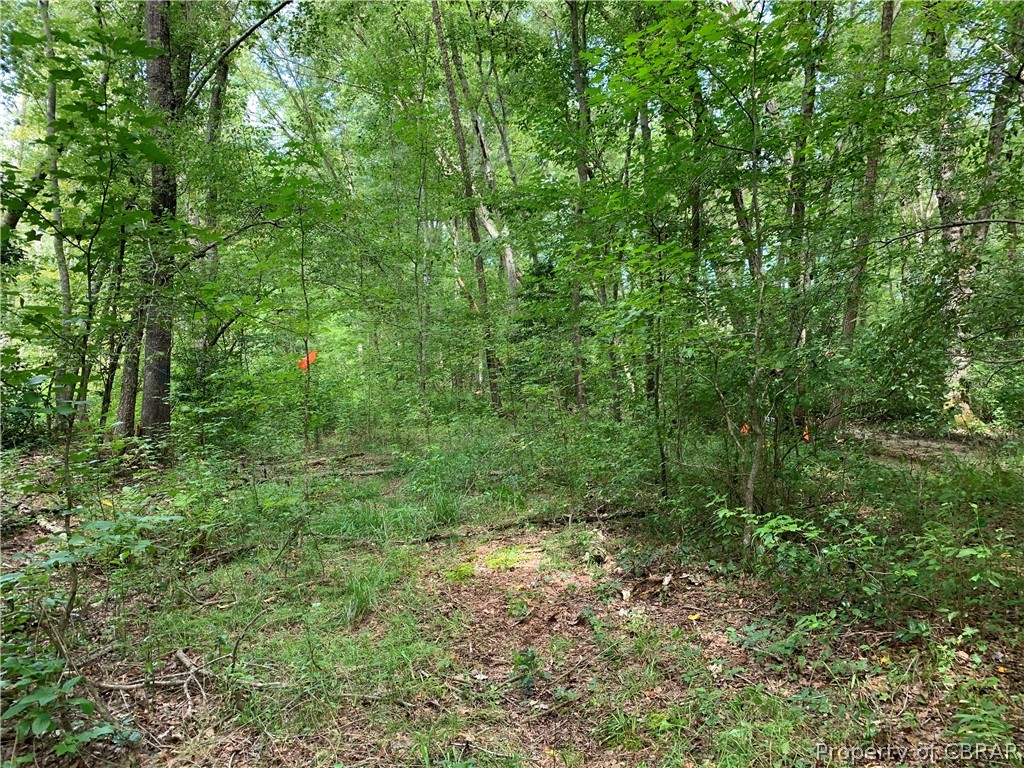 1 Newton Road Newtown, VA 23126 - Photo 18 of 20