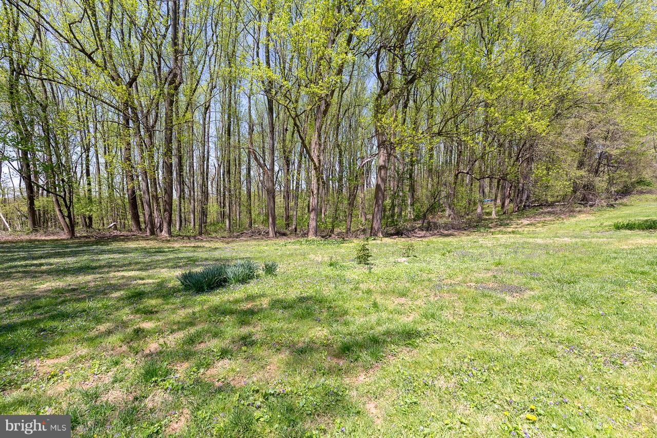 18640 Jerusalem Church Road Poolesville, MD 20837 - Photo 14 of 21 View