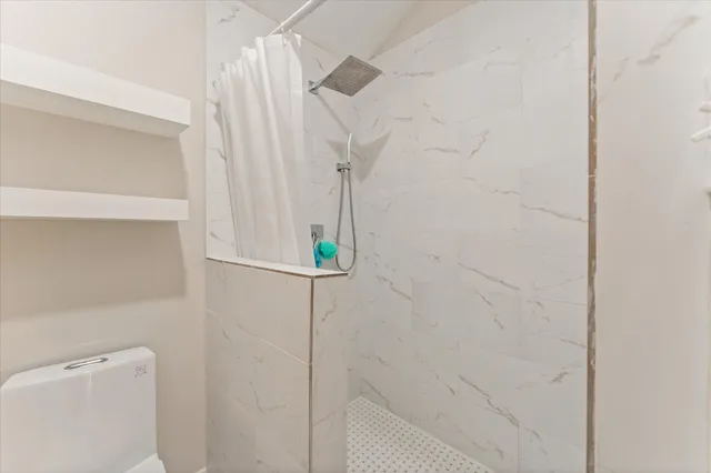 a bathroom with a shower and toilet