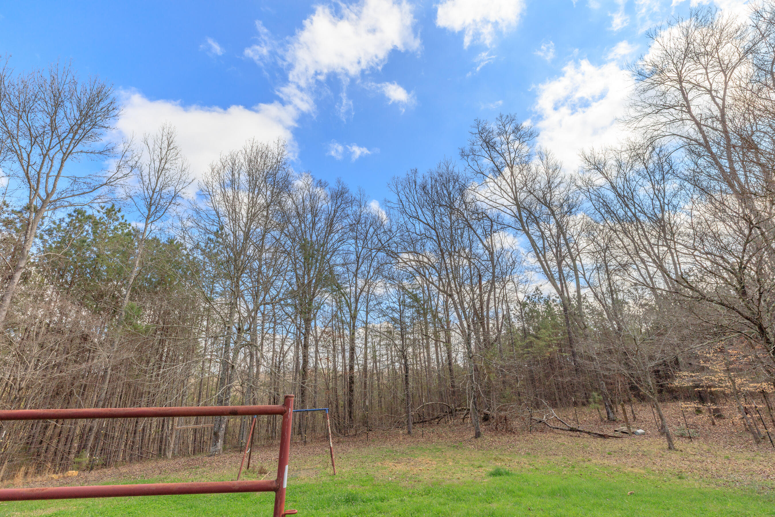 235 Harbuck Road Ringgold, GA 30736 - Photo 15 of 59 235 Harbuck HD-49