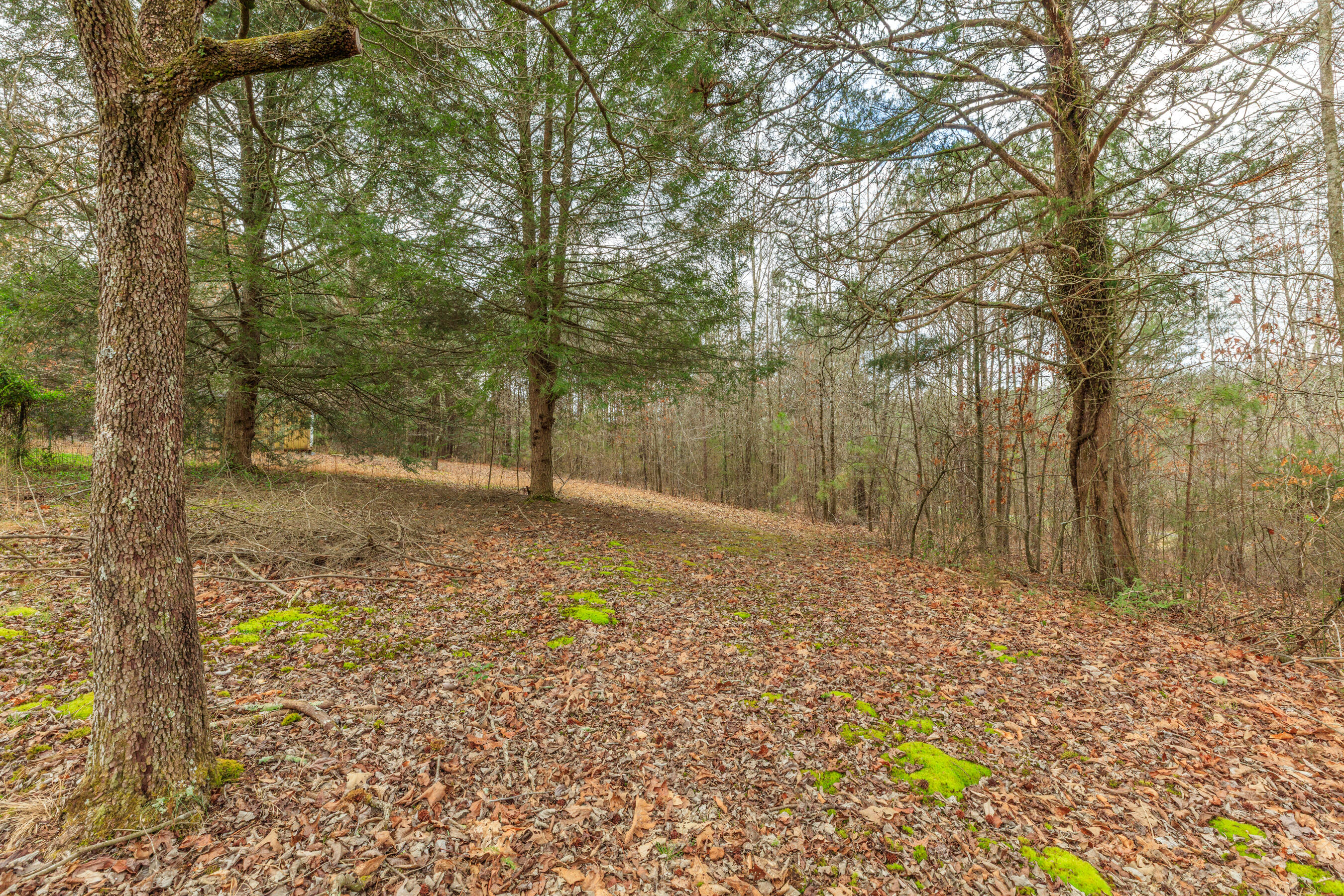 235 Harbuck Road Ringgold, GA 30736 - Photo 27 of 59 235 Harbuck HD-5