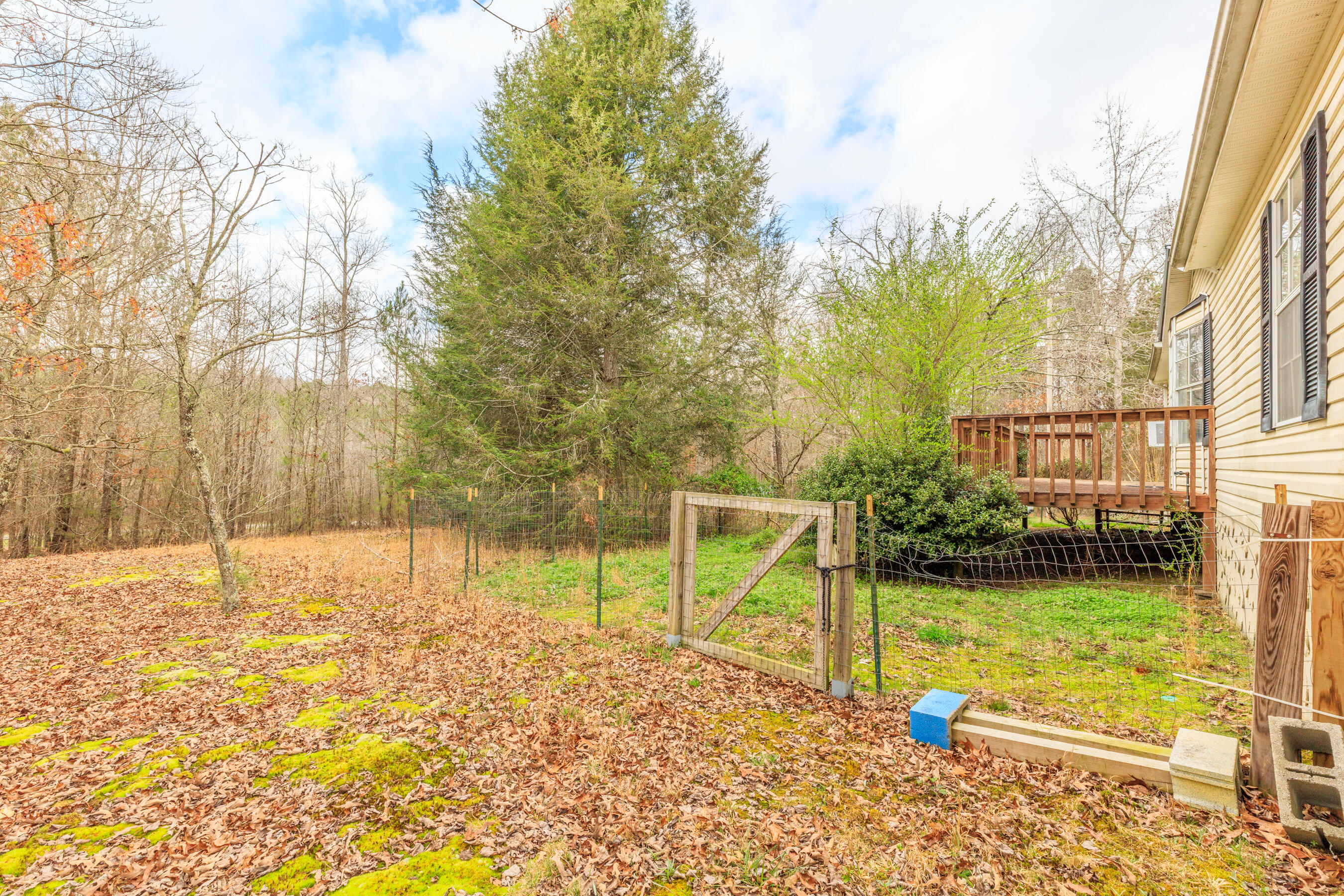 235 Harbuck Road Ringgold, GA 30736 - Photo 28 of 59 235 Harbuck HD-8