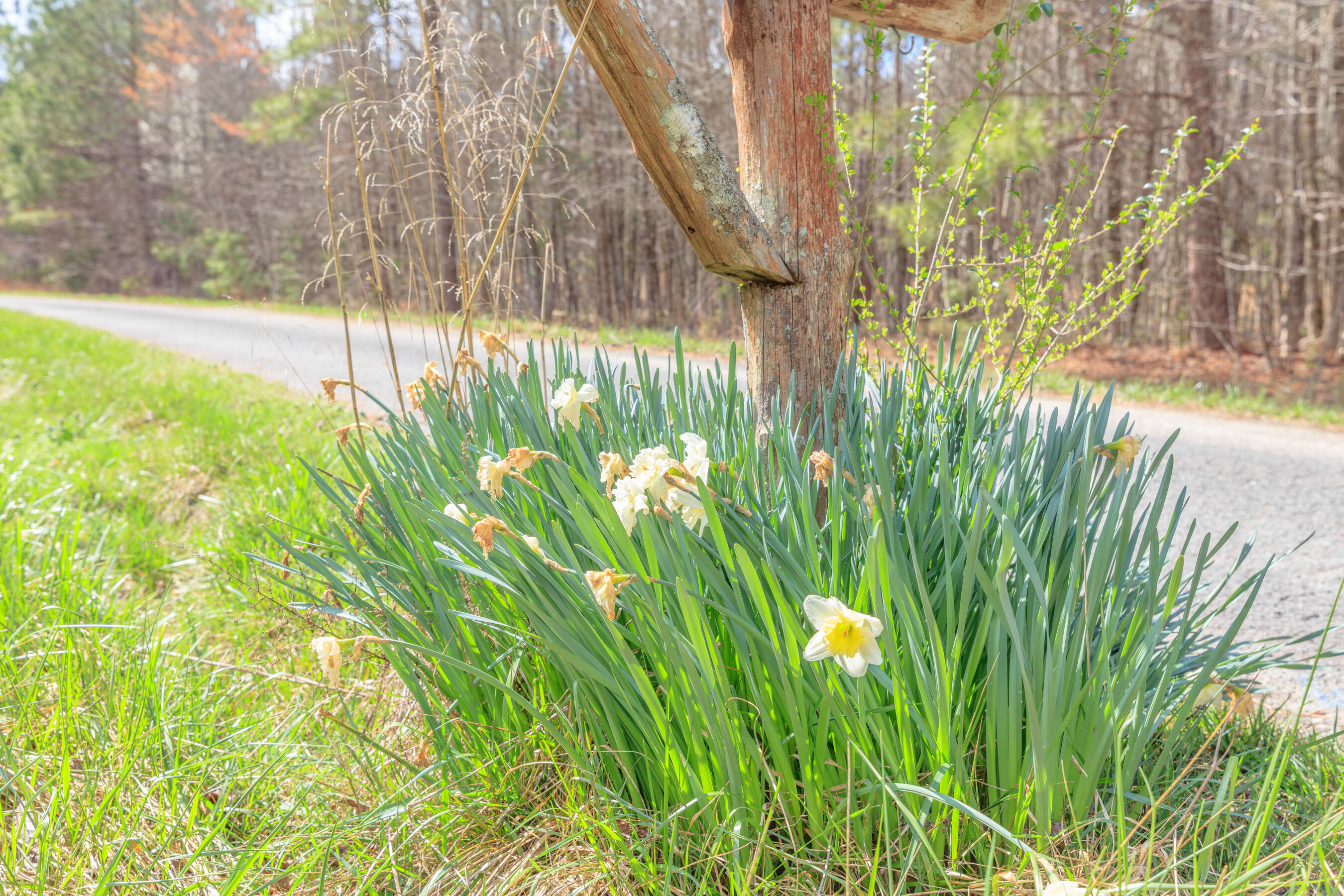 235 Harbuck Road Ringgold, GA 30736 - Photo 56 of 59 235 Harbuck HD-69