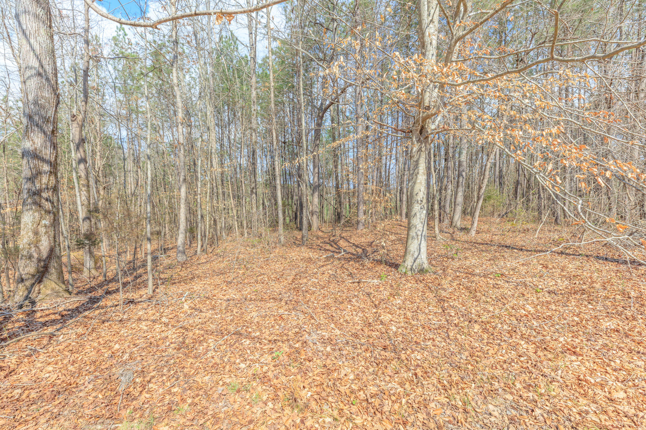 235 Harbuck Road Ringgold, GA 30736 - Photo 58 of 59 235 Harbuck HD-85