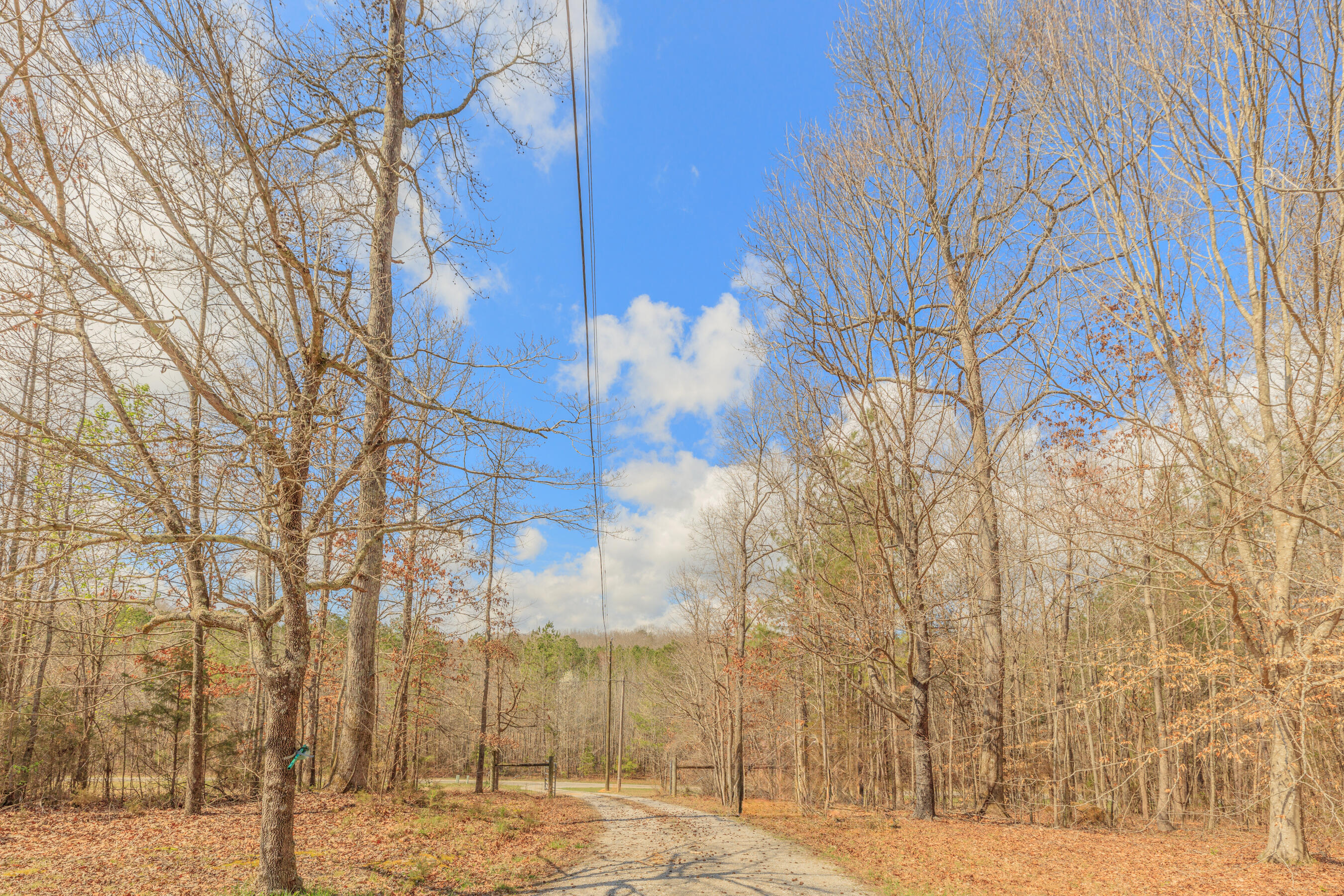 235 Harbuck Road Ringgold, GA 30736 - Photo 7 of 59 235 Harbuck HD-91