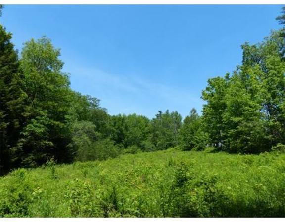 Lot 52 Shepardson Road Warwick, MA 01378 - Photo 1 of 5