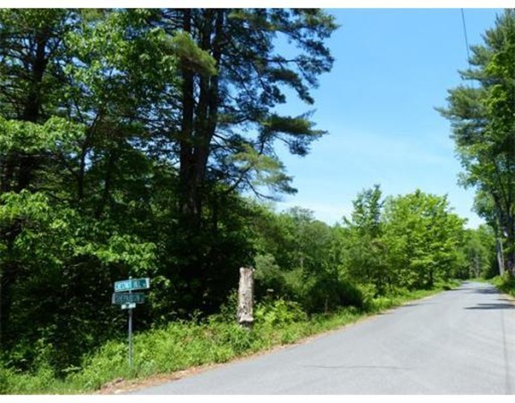 Lot 52 Shepardson Road Warwick, MA 01378 - Photo 2 of 5