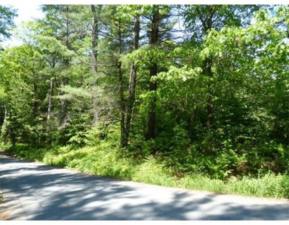 Lot 52 Shepardson Road Warwick, MA 01378 - Photo 4 of 5