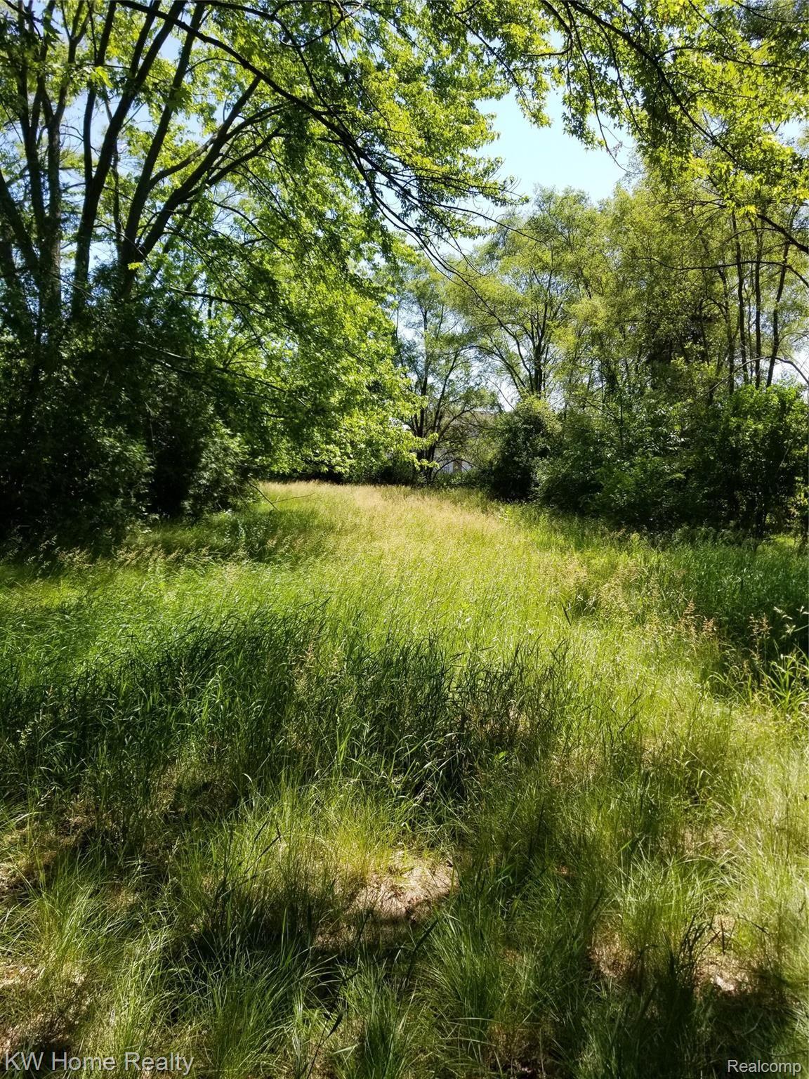 48540 Dequindre Road Utica, MI 48317 - Photo 6 of 6 Dequindre Back yard 3.jpg