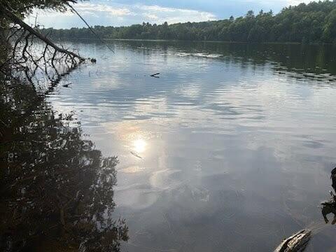 Lot #8 Kolm Road Garland, ME 04939 - Photo 4 of 23 3421