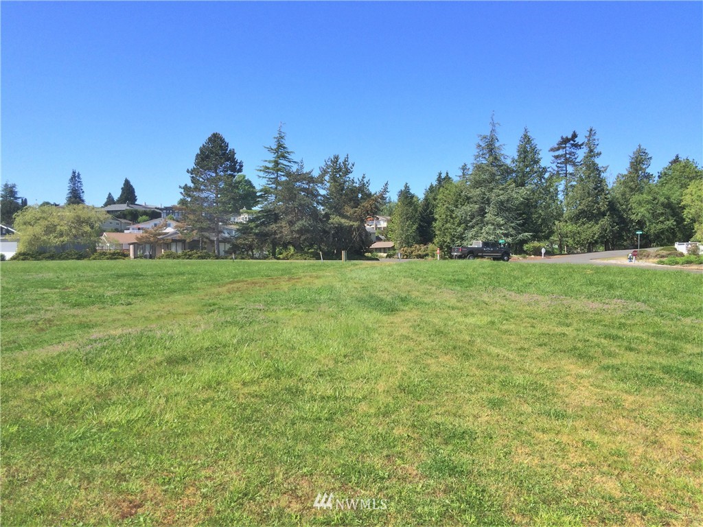 0 Chehalis Road Birch Bay, WA 98230 - Photo 4 of 18 Gallery Image 4